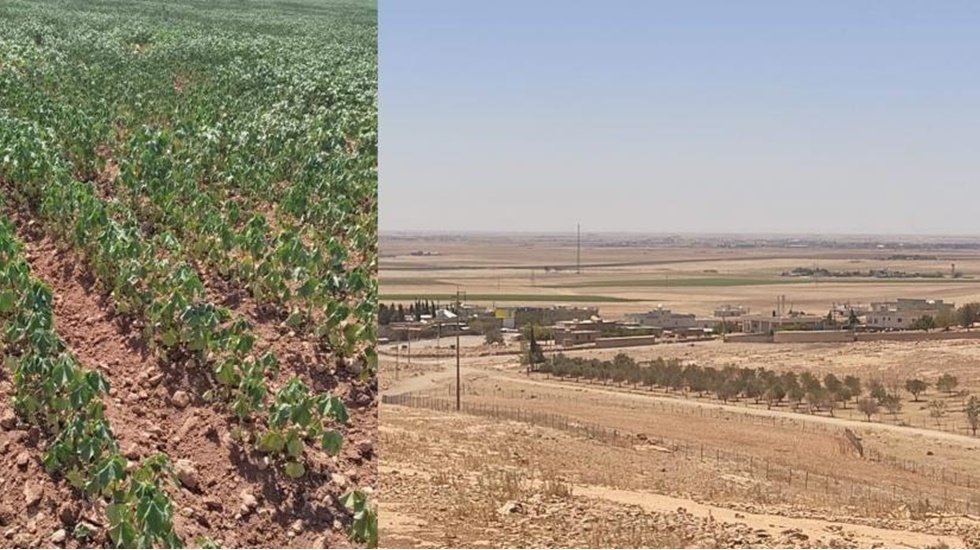 Şanlıurfa'daki elektrik kesintileri sulama yapamayan çiftçileri borç içine soktu...