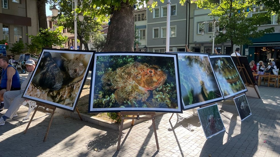 Daha temiz bir Marmara Denizi i&ccedil;in...