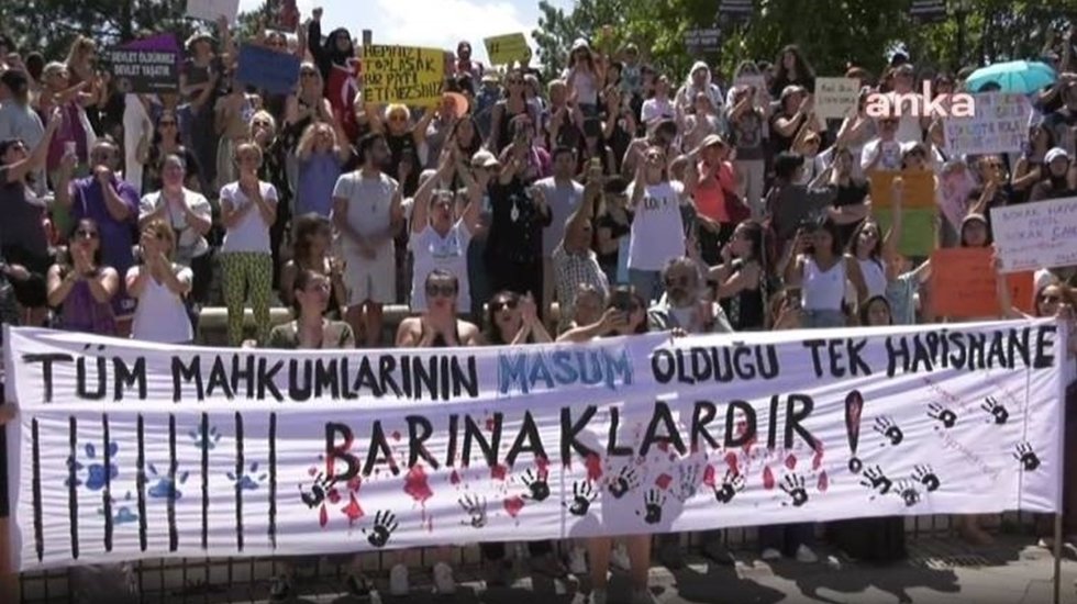 Bu &uuml;lkede başıboş hayvan sorunu diye bir şey yoktur.