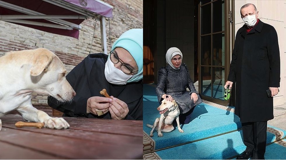 Cumhurbaşkanı&rsquo;na &Ccedil;ağrı: "L&uuml;tfen Leblebi&rsquo;nin g&ouml;zlerine bakın ve yasa'yı veto edin"