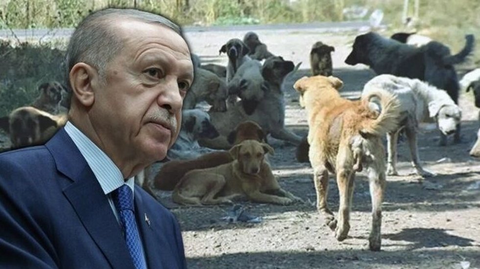 Erdoğan kararlı: 'Meclis tatile girmeden yasalaşacak!'