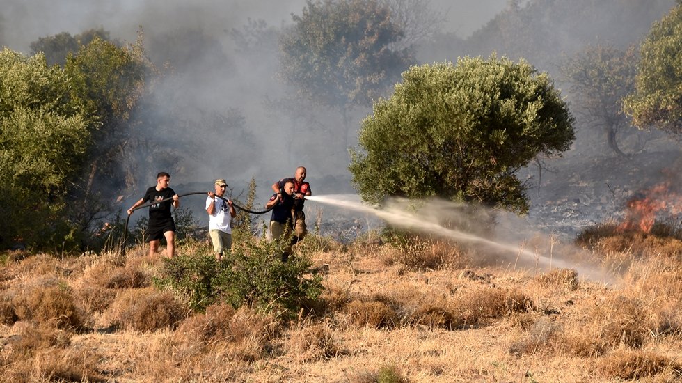 Fo&ccedil;a&rsquo;daki orman yangını kontrol altında