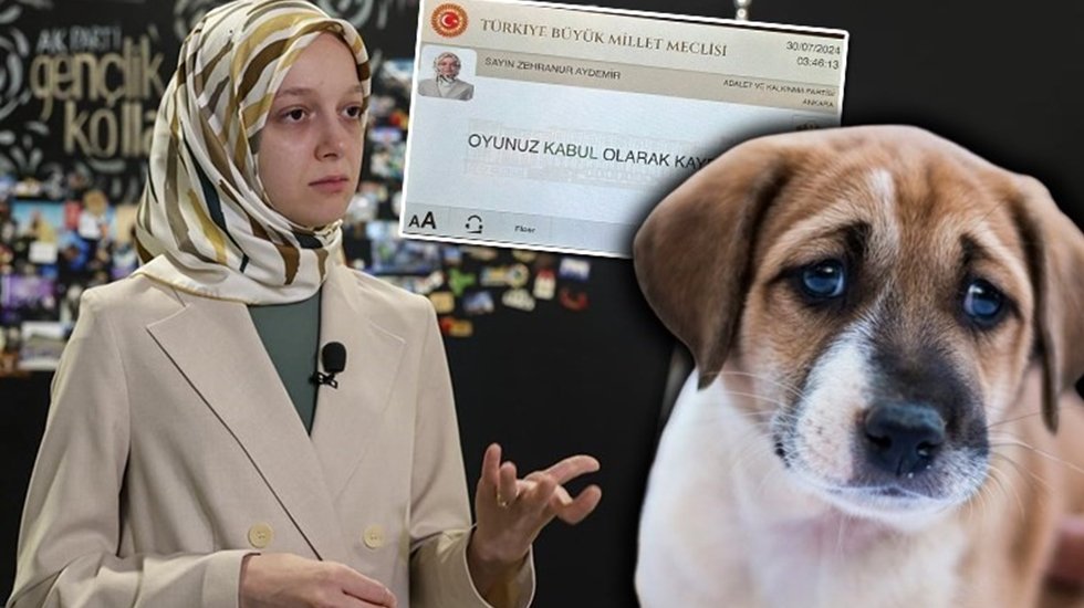 Katliam yasasına 'Evet' diyen AKP'li Zehranur Aydemir'in 'gerek&ccedil;esi: Sokak k&ouml;pekleriyle ilgili k&ouml;t&uuml; hatıralarım var.