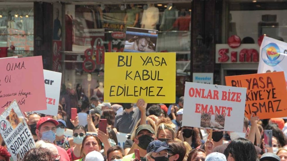 Altındağ'daki k&ouml;pek katliamına tepki yağdı