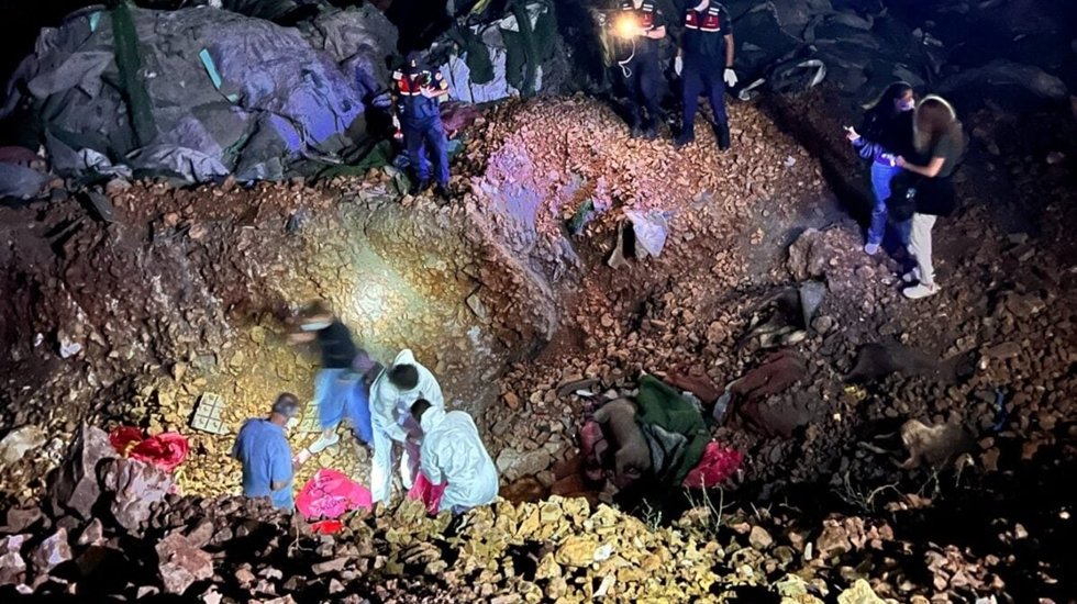 Ankara'da katliam: Onlarca k&ouml;pek &ouml;ld&uuml;r&uuml;ld&uuml;