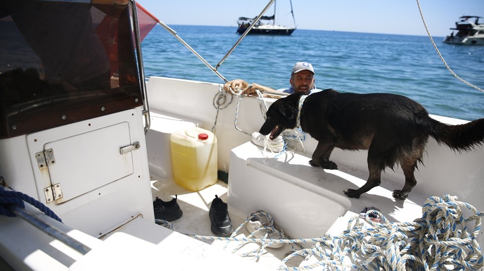Bir koyda mahsur kalan sahipsiz k&ouml;pek tekneyle karaya &ccedil;ıkarıldı...