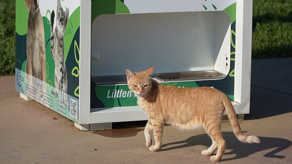Bursa B&uuml;y&uuml;kşehir Belediyesi, geri d&ouml;n&uuml;ş&uuml;m&uuml; kedi k&ouml;pek mamasına d&ouml;n&uuml;şt&uuml;r&uuml;yor...