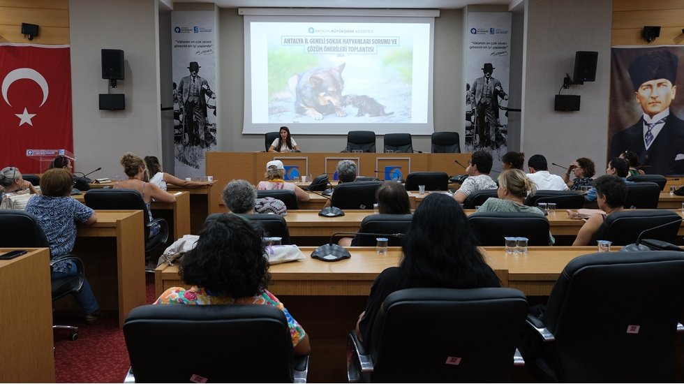 B&uuml;y&uuml;kşehir&rsquo;in sahipsiz sokak hayvanları &ccedil;&ouml;z&uuml;m &ouml;nerileri toplantıları s&uuml;r&uuml;yor