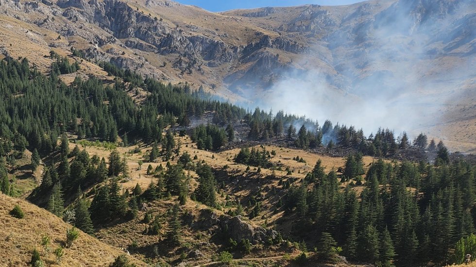Ekin&ouml;z&uuml; 'nde &Ccedil;ıkan Orman Yangını Kontrol Altına Alındı&nbsp;