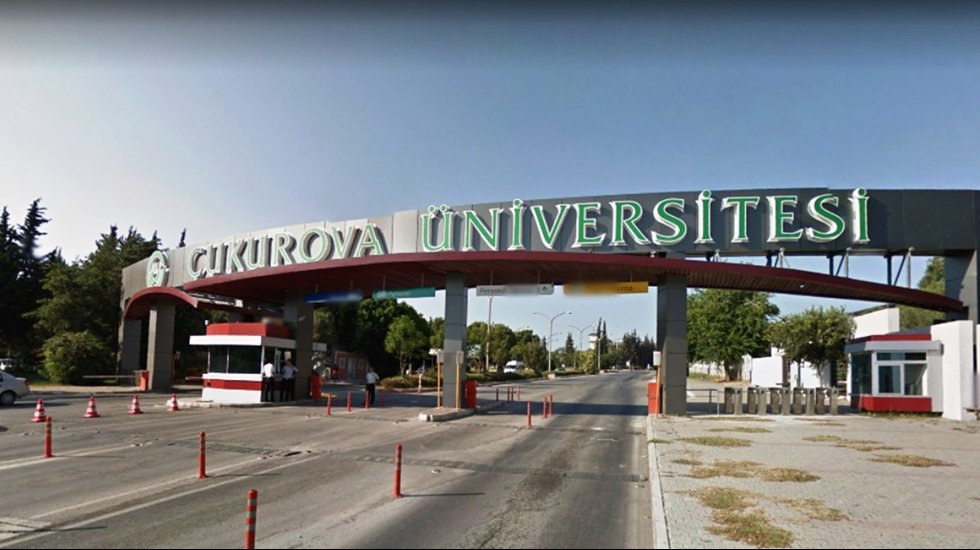 Oluşum halindeki demokrasinin ve &uuml;niversitelerin geriletilmesi