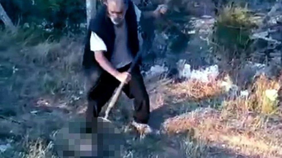 Yavru k&ouml;peği dirgenle &ouml;ld&uuml;ren cani g&ouml;zaltına alındı