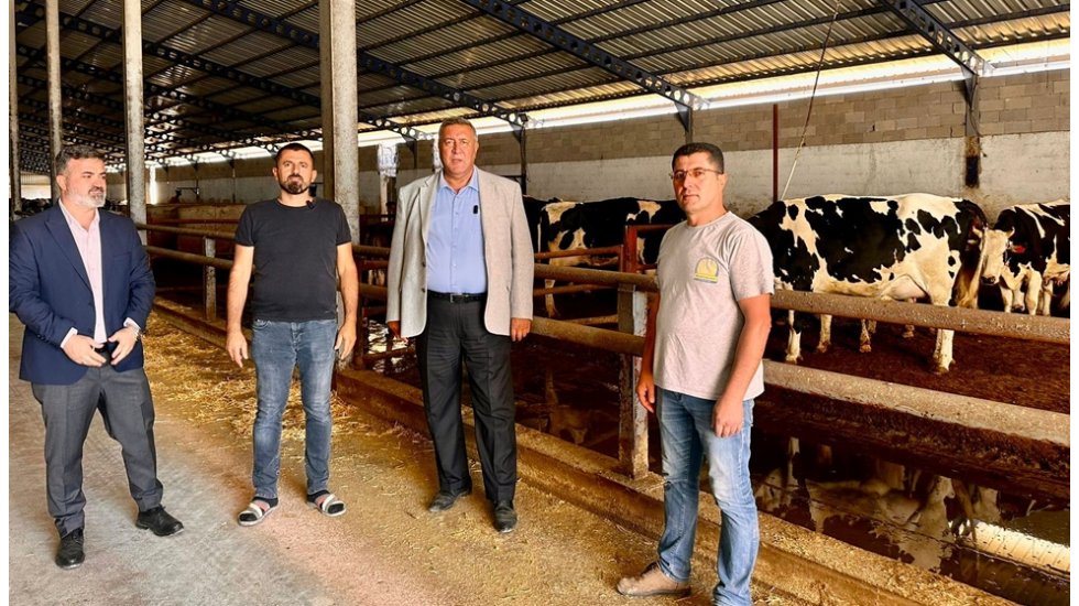 Ahırlar farklı, hayvan sahipleri farklı, dertler ise aynı!