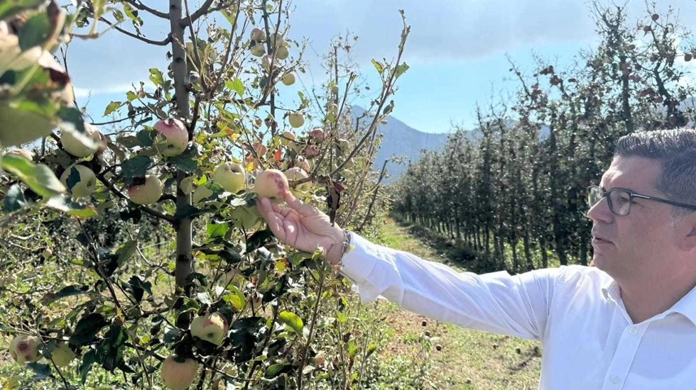 İktidara &ccedil;ağrı yapıyorum &ccedil;ift&ccedil;ileri yalnız bırakmayın