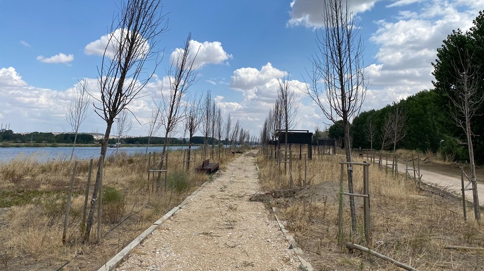 Ormana millet bah&ccedil;esi yapmak istediler, dikili fidanları kuruttular&hellip;