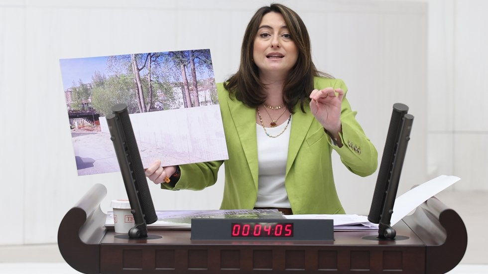 Ormanlar rant uğruna talan edilmek isteniyor!