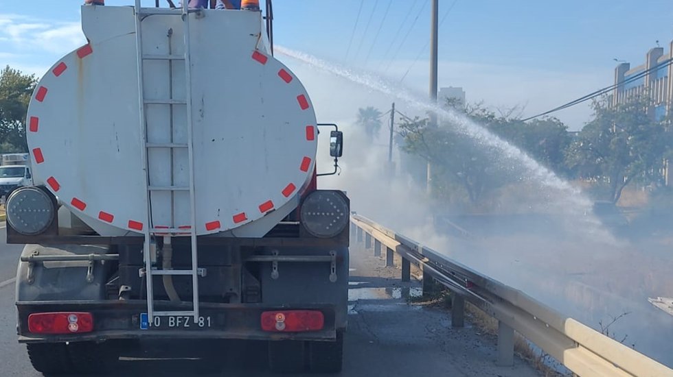 Yol kenarına atılan sigara izmariti yangın çıkardı