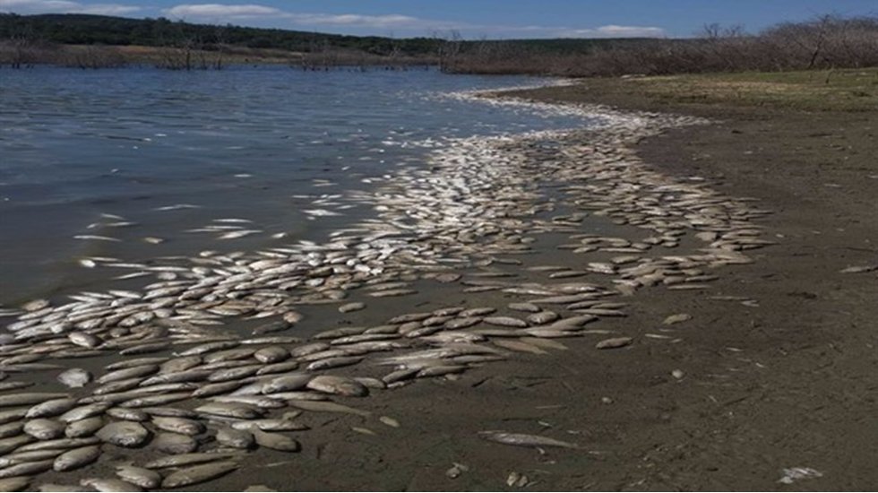 Belediye Başkanının imzalamadığı "İzmir K&ouml;rfezi 'Acil Eylem Planı..."