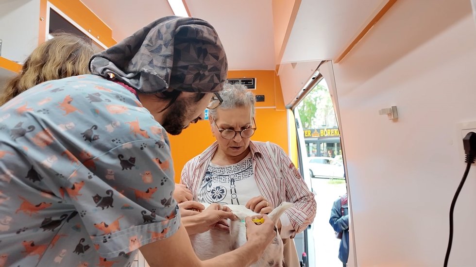Beyoğlu Belediyesi’nden ‘Acil veterinerlik hizmeti’ Mobil Veteriner Ambulansı