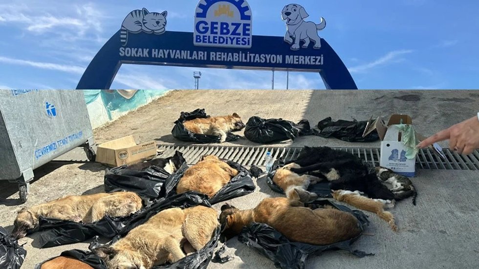 Katliamda kullanılan iğne ve ila&ccedil; şişesi delil olarak alındı...