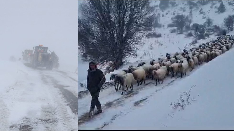 Büyükşehir 14 çoban ve binlerce hayvanı donmaktan kurtardı...