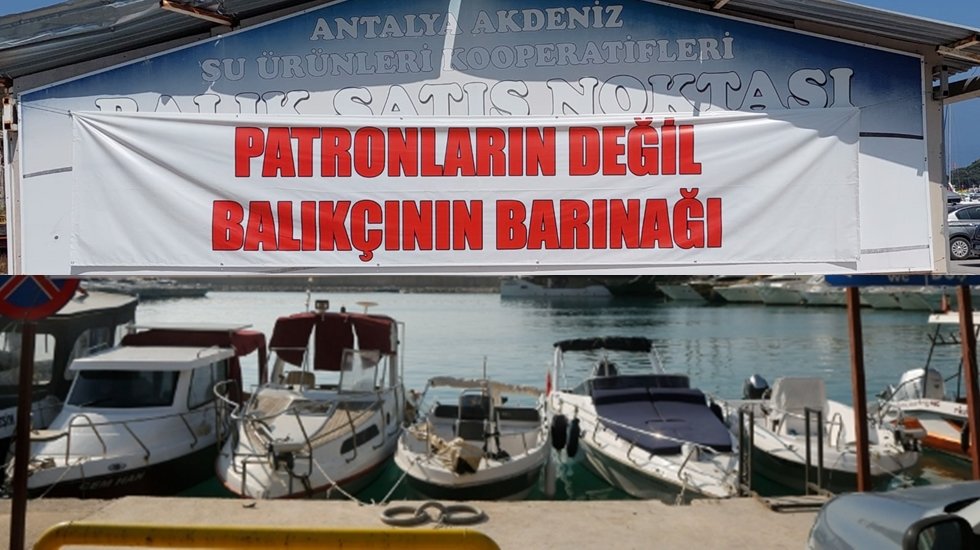 Su &Uuml;r&uuml;nleri Kooperatifleri&rsquo;ne kayyum&hellip;