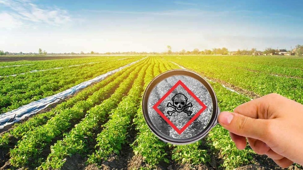 Tarımda, d&uuml;nya ortalaması &uuml;zerinde tarım zehiri kullanılıyor