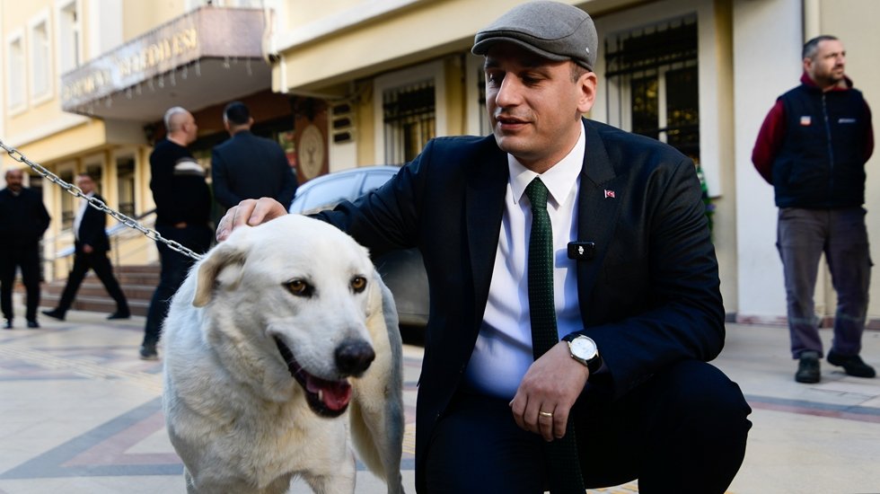 Başkan Sokak Köpeği Paşa’yı uyutmadı kendisi sahiplendi