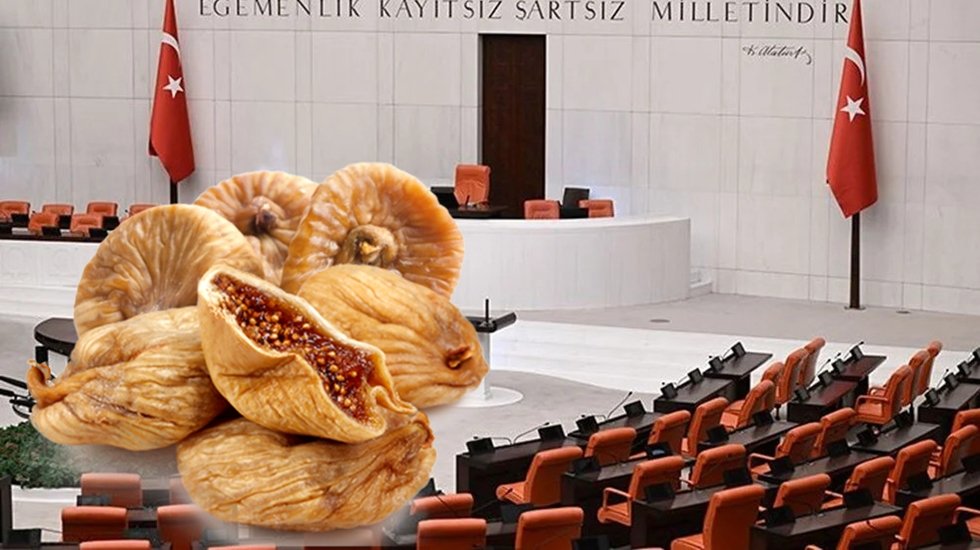 İ&ccedil;eriğinde toksik madde tespit edildiği i&ccedil;in ihracattan d&ouml;nen incir Meclis g&uuml;ndeminde...