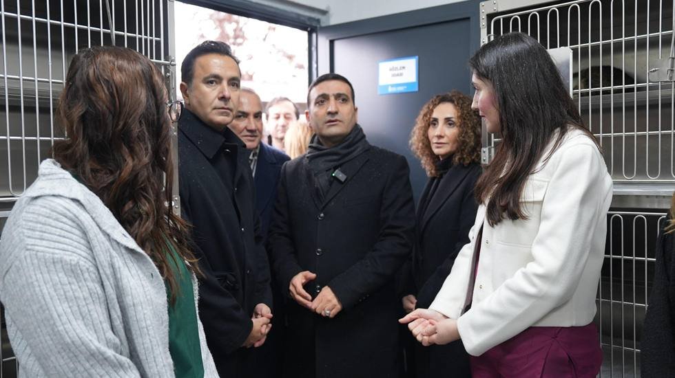 Beyoğlu’nda tam teçhizatlı yeni ‘Sahipsiz Hayvan Bakımevi’ hizmete açıldı