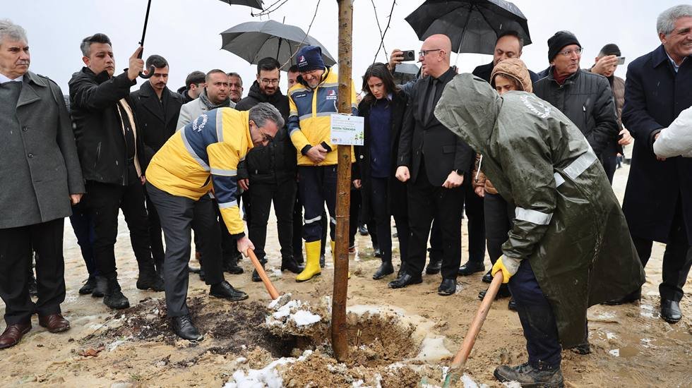 Bu fidanlar yangın felaketinde yaşamını yitiren 78 can için yeşerecek...