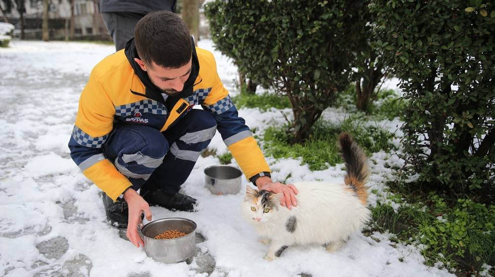 Kar yağışının etkili olduğu Bayrampaşa&rsquo;da sokak hayvanlarının beslemesi yapılıyor...