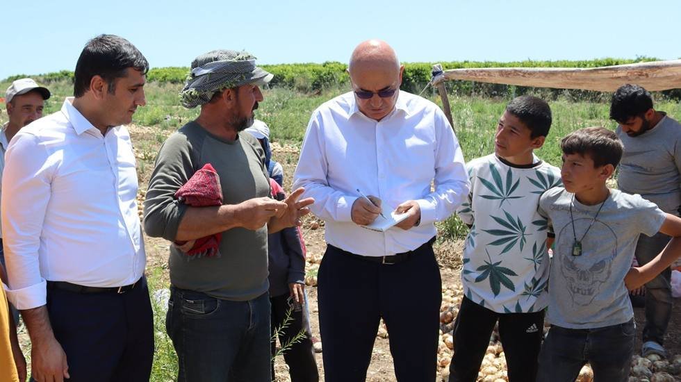 Tanal: TİHEK&rsquo;in bağımsızlığına g&ouml;lge d&uuml;ş&uuml;yor