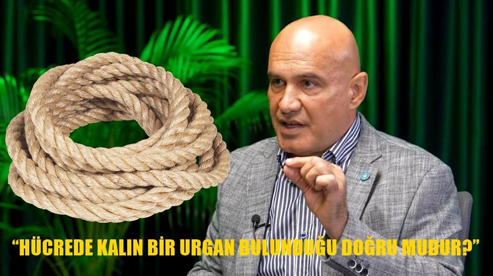 Turhan &Ccedil;&ouml;mez'den Bakan Tun&ccedil;'a 'Yenidoğan' sorusu...