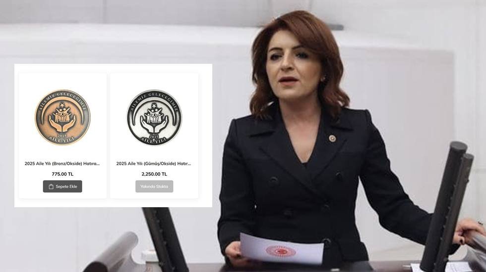 Gülcan Kış’tan Aile Yılı Tepkisi: “Siz Aileyi Hatıra Parasıyla mı Kurtaracaksınız?”