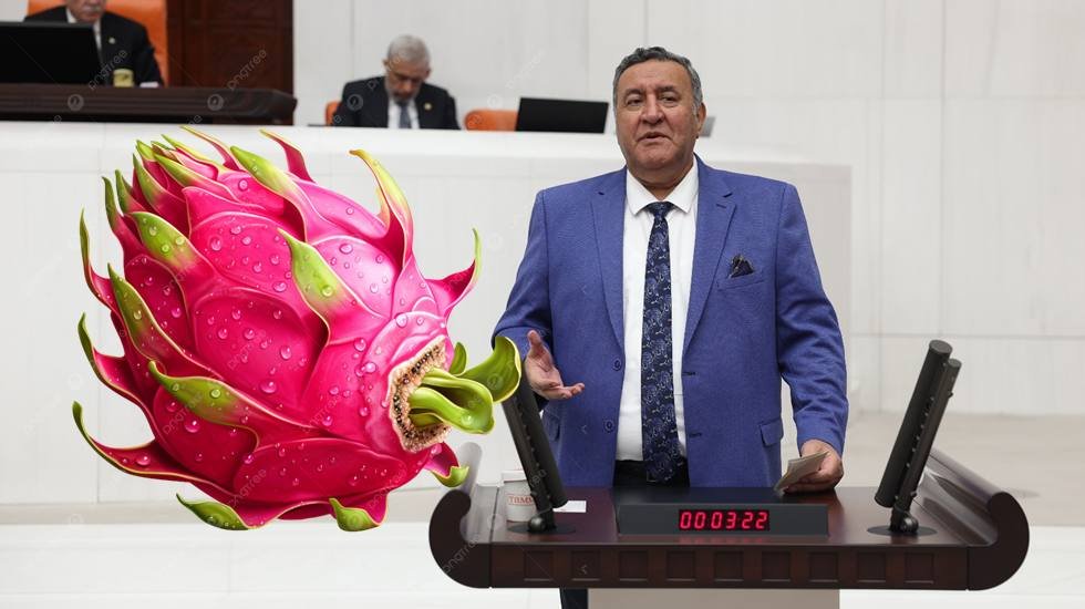 Gürer: “Bayram ikramiyesindeki artış 2 ejder meyvesini yetmiyor”