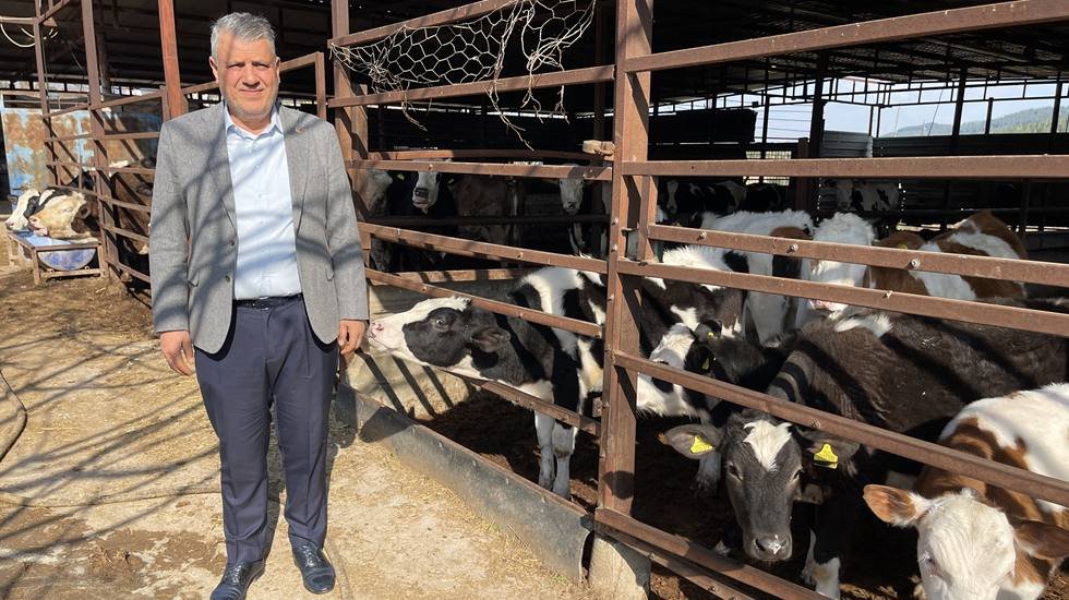 Ahırlar boşalıyor, et krizi büyüyor...