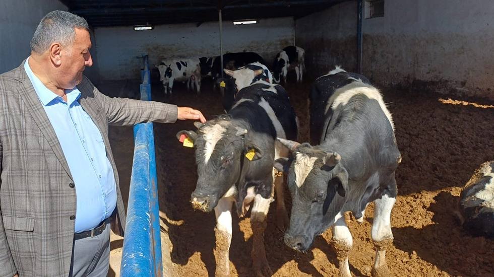 Büyükbaş hisse bedeli 35 bin TL’yi aştı…