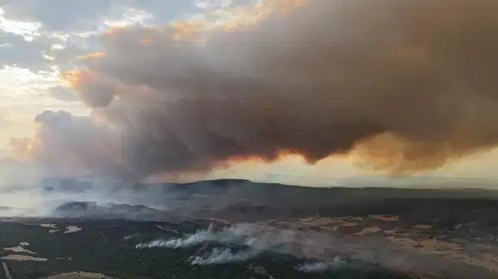 Çanakkale Gelibolu'daki yangına havanın aydınlanmasıyla müdahale yeniden başladı!