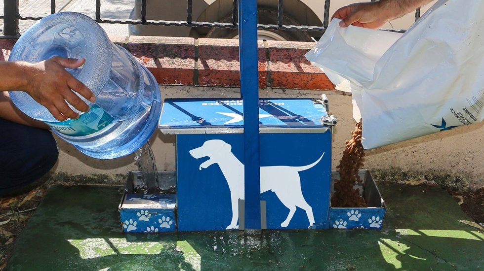 Sokakta yaşayan canlar için bir kap su koymayı unutmayın…