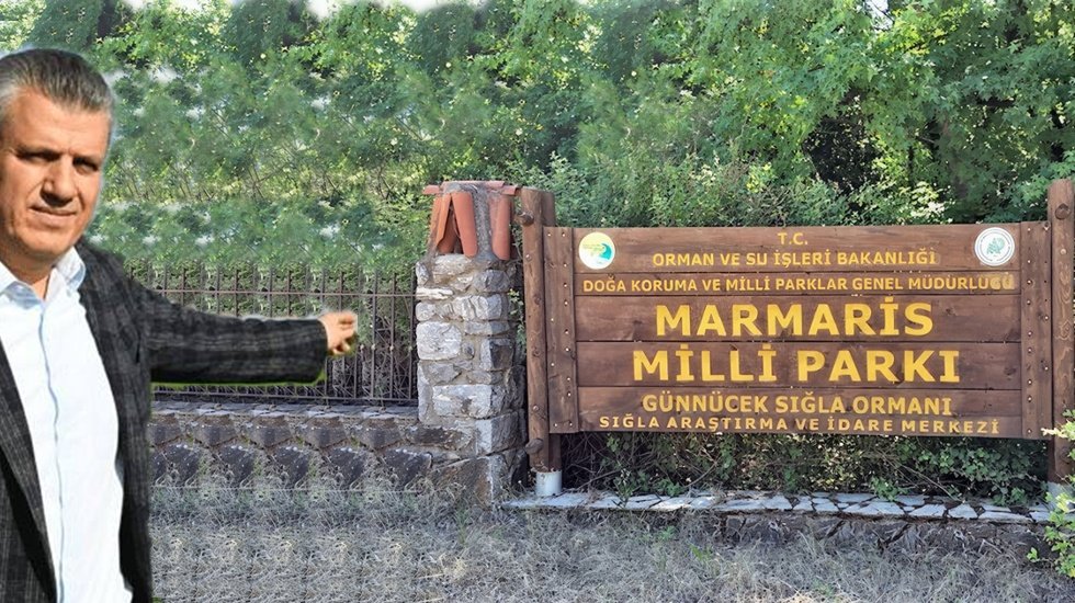 Yetki sadece Saray'a bağlanmaz...