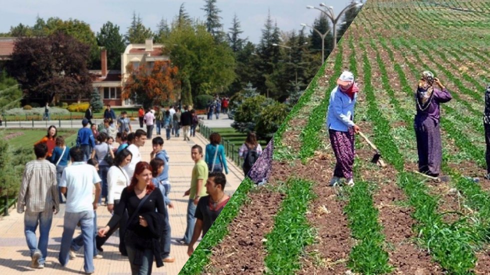 Her 3 gen&ccedil;ten 1&rsquo;i &uuml;retimde yok, tarımda 10 kişiden 8&rsquo;i sigortasız!