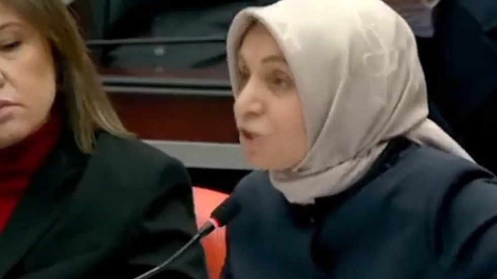 AKP&rsquo;li vekilden Meclis&rsquo;te şok s&ouml;zler: &lsquo;Aleviler &ouml;ld&uuml;r&uuml;l&uuml;yor diye ortalığı ayağa kaldırıyor&rsquo;