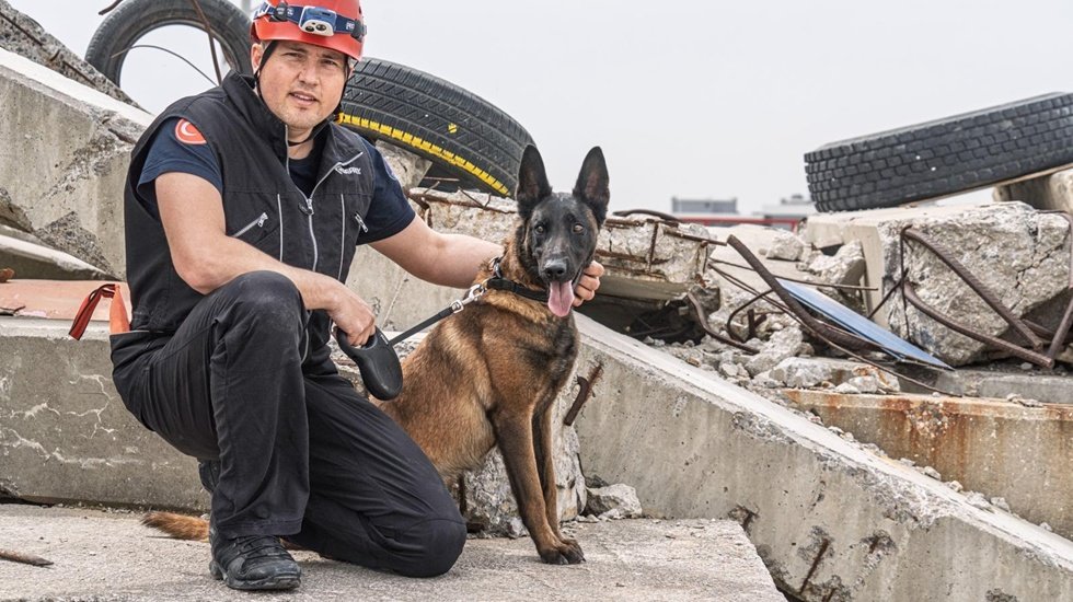 Barınaktan enkaz kahramanlığına: Karşınızda "Momo"!