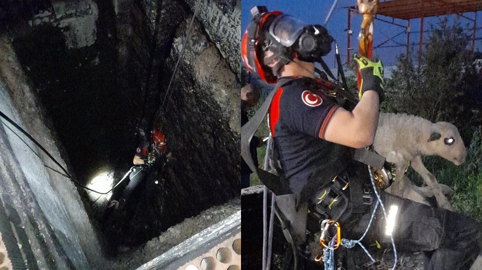 Kuyuya d&uuml;şen kuzuyu itfaiye kurtardı