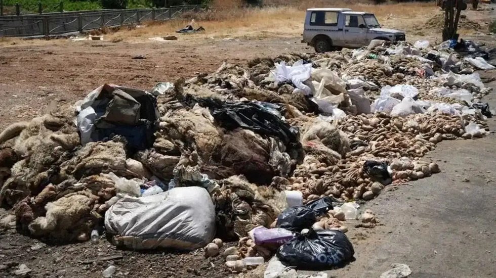 Kurban atıkları altyapıyı ve halk sağlığını tehdit ediyor